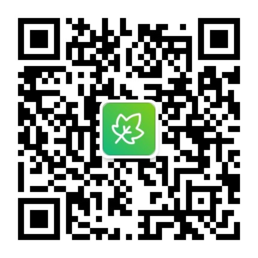 见枫助手-见枫 JianFeng